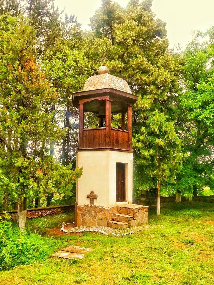 Гориста местност